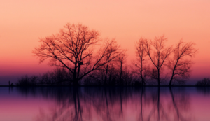 青瓷结局曾真台词,青瓷原著小说曾真结局