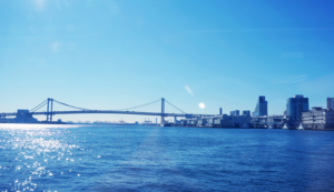 秘色瓷是什么窑烧制的,秘色瓷是一种特殊的瓷器,这里的秘是一种神秘的颜色