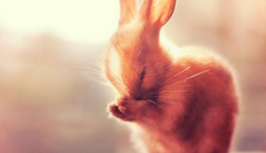 青白釉瓷器,青白釉瓷器香薰拍卖