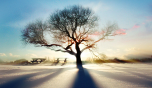 青白釉瓷器,青白釉瓷器香薰拍卖