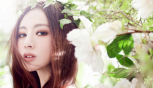 秘色瓷是什么窑烧制的,秘色瓷是一种特殊的瓷器,这里的秘是一种神秘的颜色